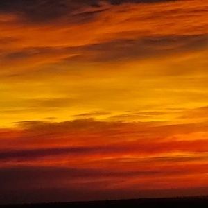 Meet your Posher, Lorraine